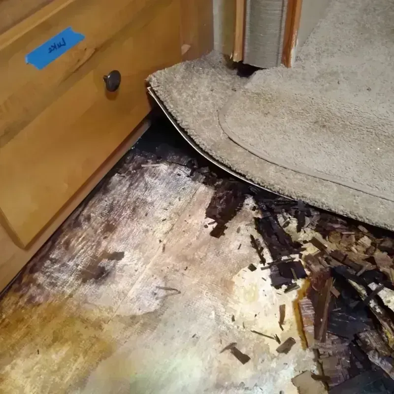 Wood Floor Water Damage in Parker, CO